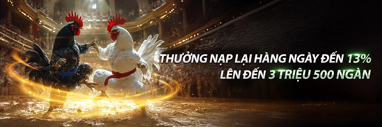 Đá gà trực tuyến 1xbet với các trận đấu sôi động