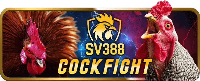 Hoàn trả 1xBet
